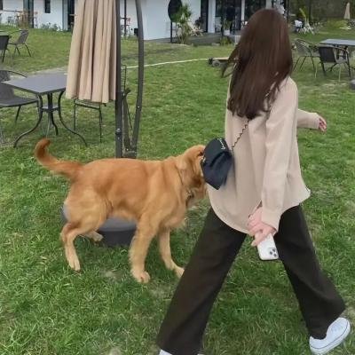 高堡奇人第一季